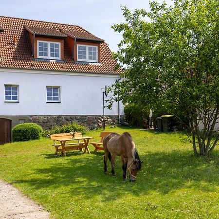 Ferienwohnung "Flori'S Ponyhof" Kröpelin Kültér fotó
